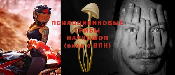 spice Касимов