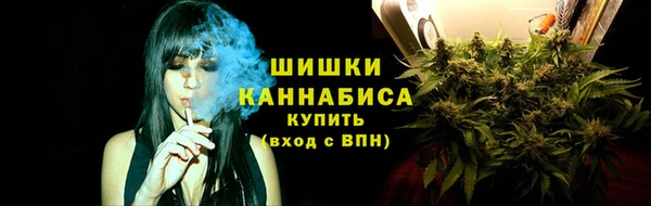 стафф Карпинск