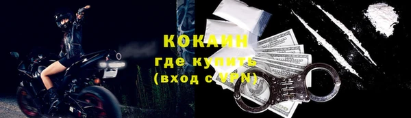 гашик Карталы
