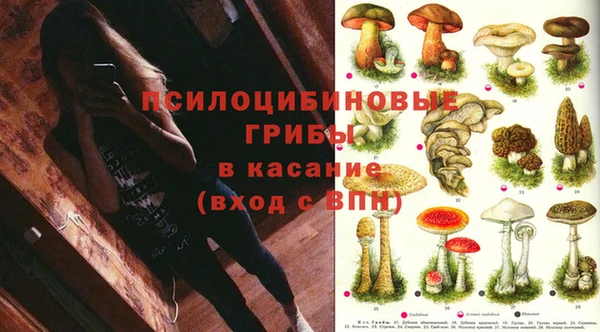 стафф Карпинск