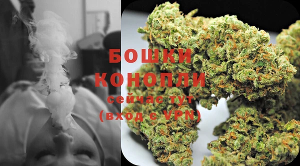 стафф Карпинск