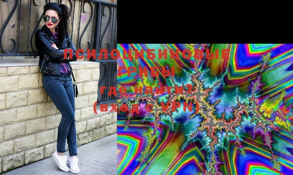 гашик Карталы
