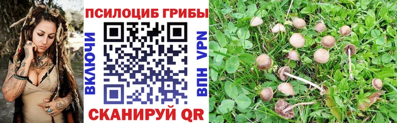 Галлюциногенные грибы Cubensis  Купить  Заозёрск 